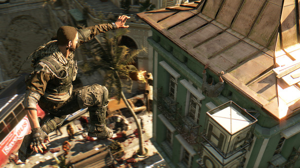 DYING LIGHT THE 